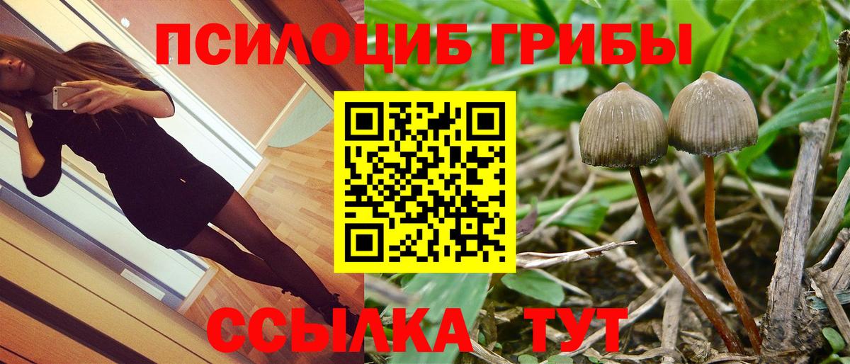 Ухта  что такое наркотик  Вход с VPN  Псилоцибиновые грибы GOLDEN TEACHER  Псилоцибиновые грибы Psilocybine cubensis 